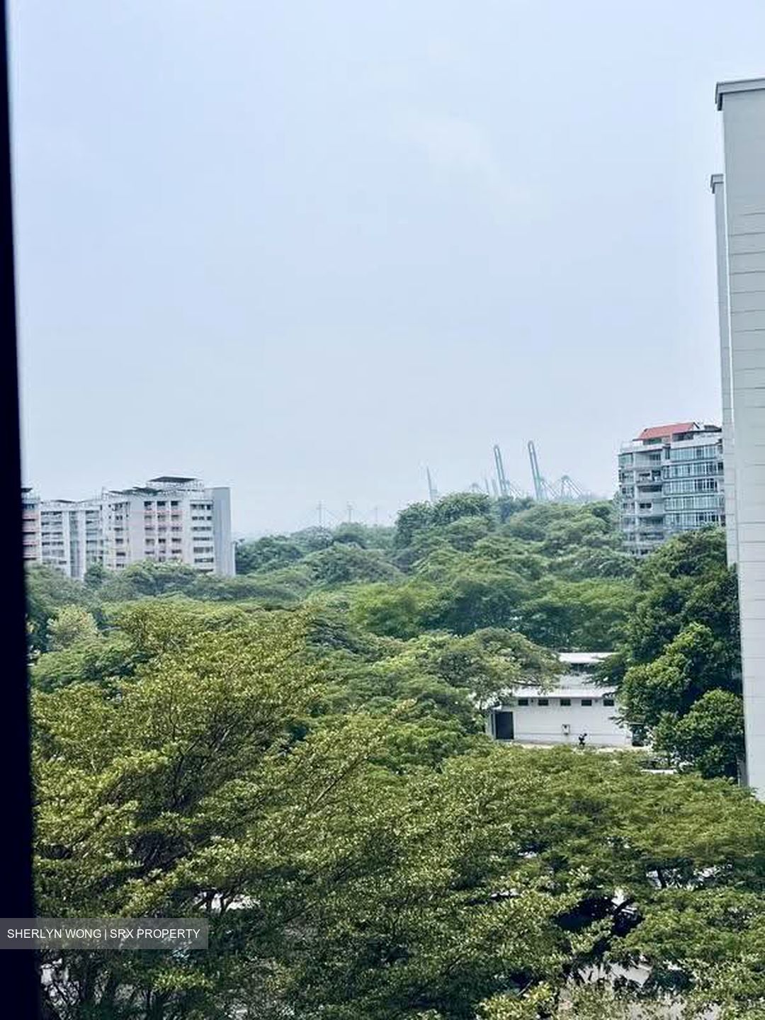 Blk 37 Telok Blangah Rise (Bukit Merah), HDB 5 Rooms #631014501